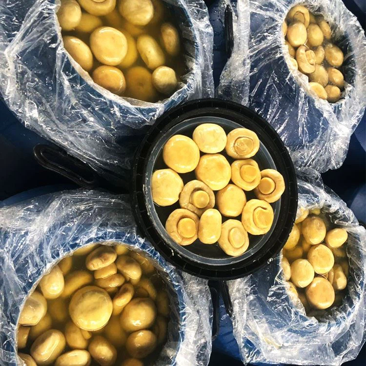 Mushroom In Brine In 50kg Drum