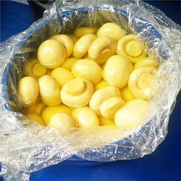 Champignon sveppir í SO2