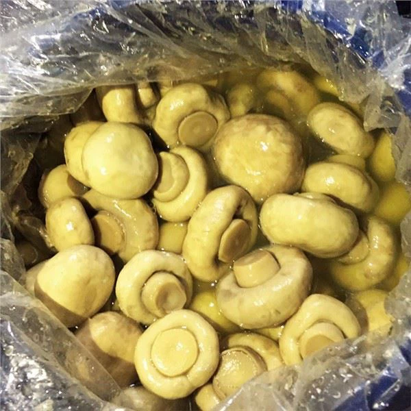 Sveppir Agaricus Bisporus í Birne