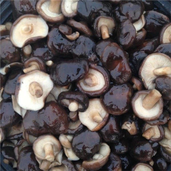 Shiitake Sveppir í Saltvatni